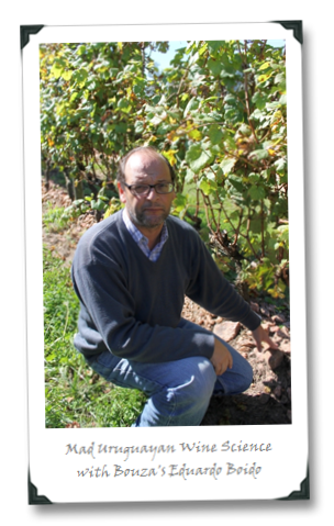 Where do capybaras live image