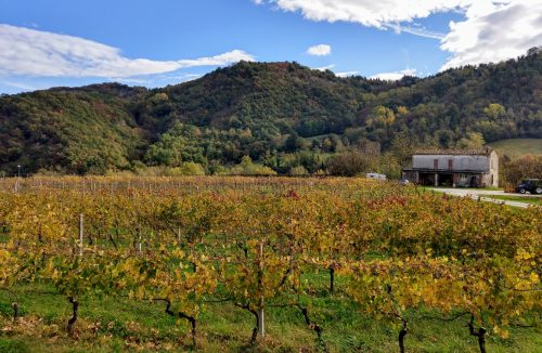 Tenuta Casali view 1