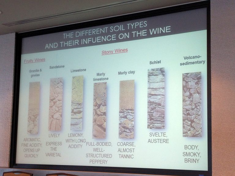 Rocks & Riesling Proves That Rangen Riesling Rocks 1 Wine Dude