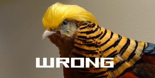 wrong