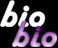 Joe's music bio