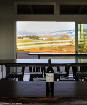 Wine In the Time of Coronavirus, Part 48: Heavy Metal Memories (Caprio Cellars Flagship Red)