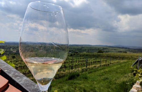 Sekt Langelois vineyard view