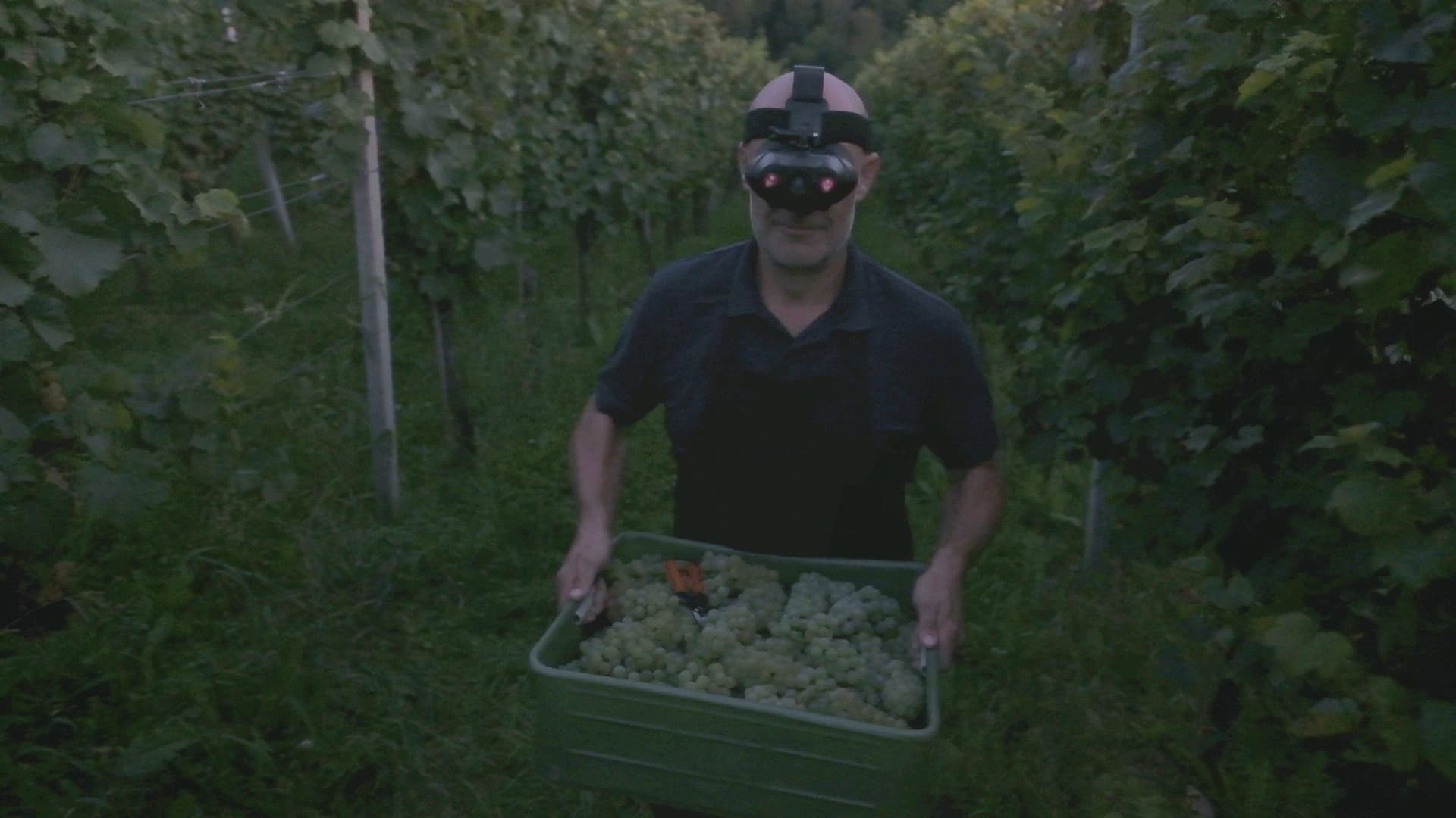 Wine in the Time of Coronavirus, Part 21: Touchable (Tasting Untouched By Light)