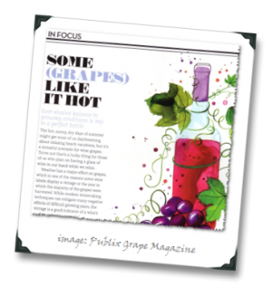 The Heat Is&hellip; ON! (Publix Summer Grape 2014)