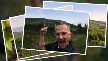 Basilicus Winery