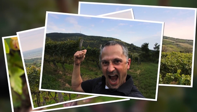 Basilicus Winery