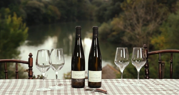 Kvaszinger Winery