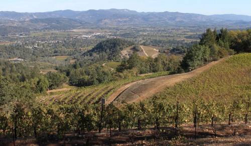 Amici Spring Mountain