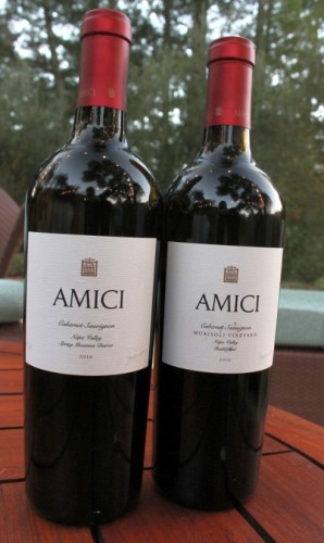 Amici 2010 SV Cabs