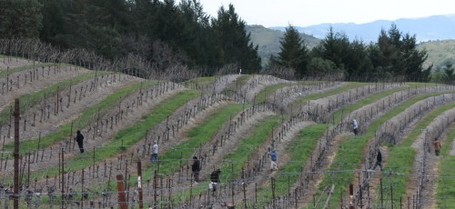 Mt. veeder kj