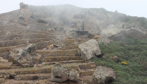 Pantelleria farming 2