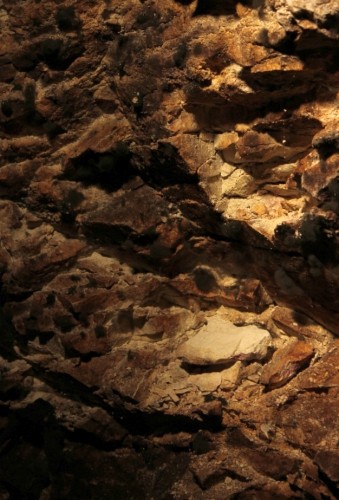 Jacques Lassaigne caves