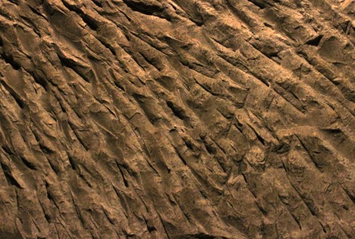 Joseph Perrier caves 2