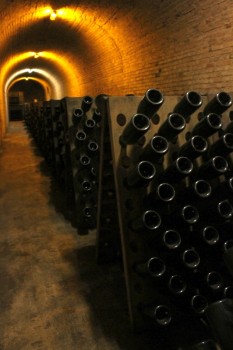 Bollinger racks
