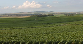 Mailly view