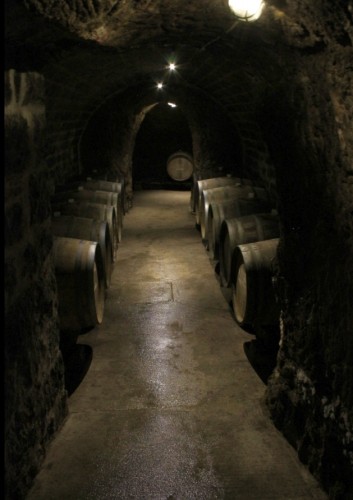 Tokaj cellars 2015