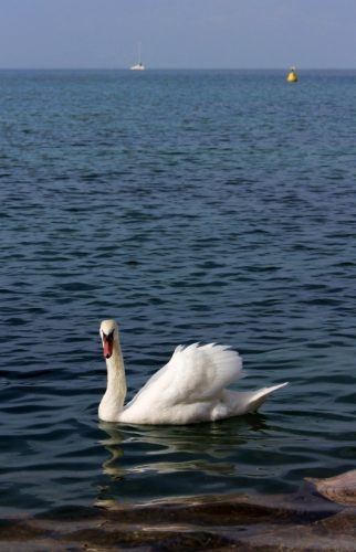 Lake Garda