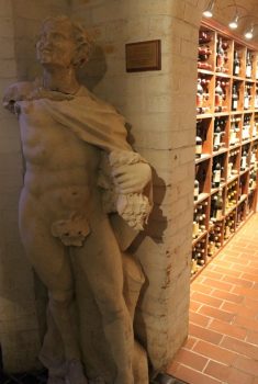 Constantia cellar 2013