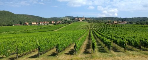 Tenuta di Arceno