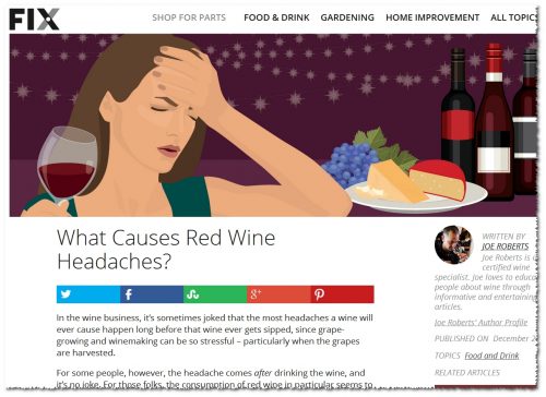 Fix.com Red wine headaches
