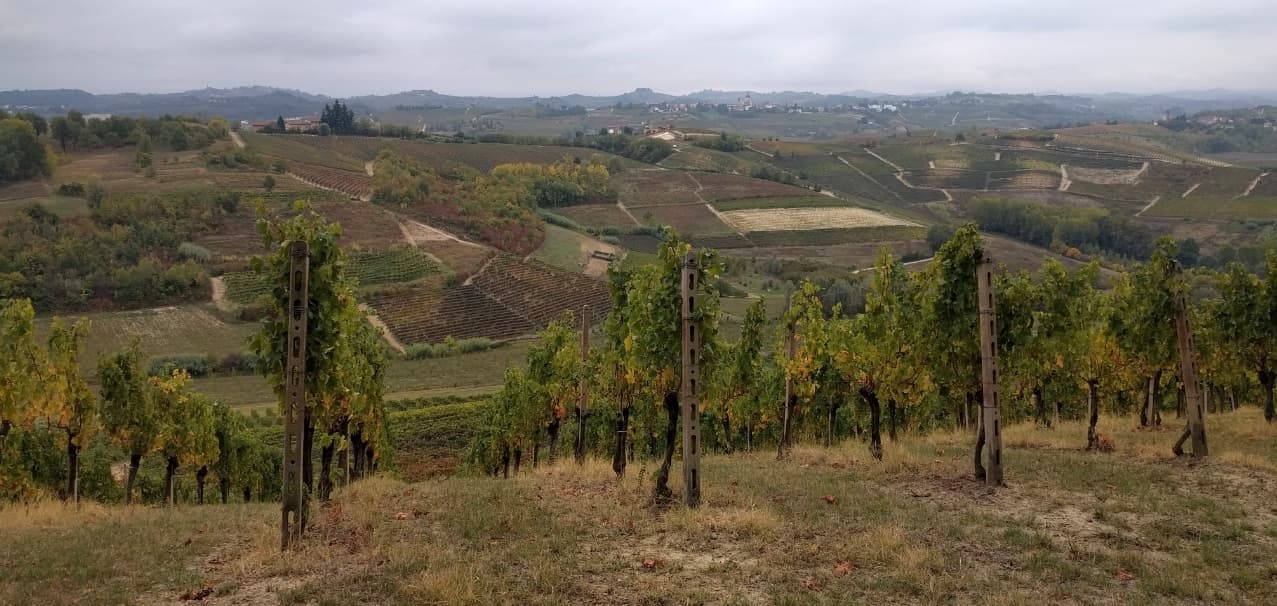 My Name’s *Still* Barbera (Monferrato Moves 2: Terroir Monferrato)