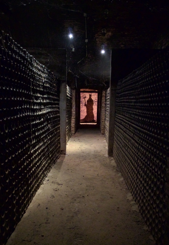 Casillero del Diablo, Maule