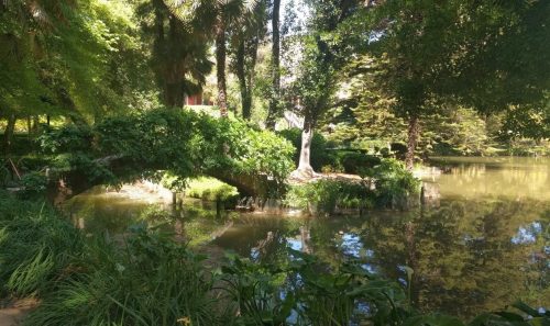 Santa Rita garden 2
