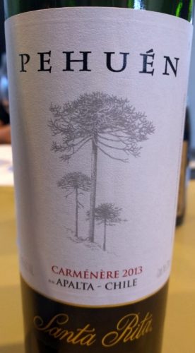 Santa Rita Pehuen