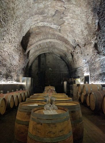 Terre del Principe cellar
