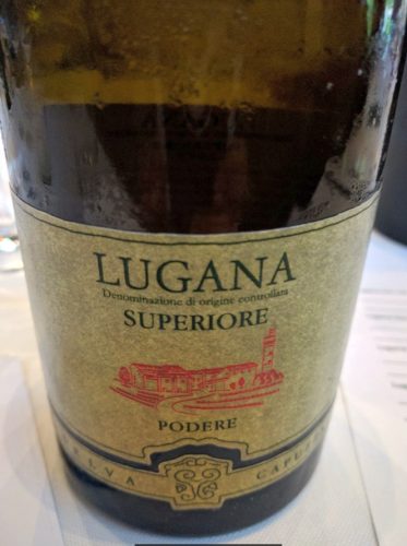 Selva Capuzza Lugana Superiore