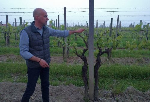 Selva Capuzza's Luca Formentini