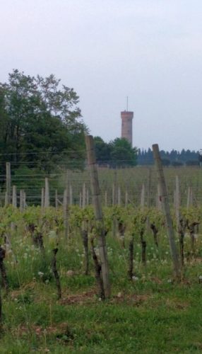 Selva Capuzza tower
