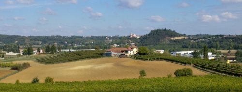 Piemonte Barbera 2016
