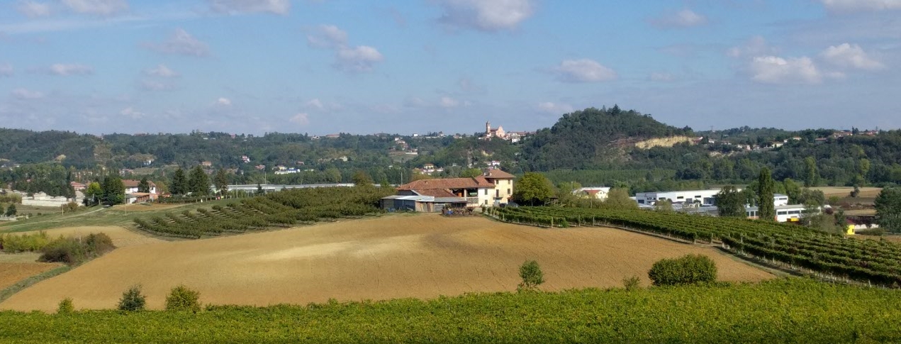 Piemonte Barbera 2016
