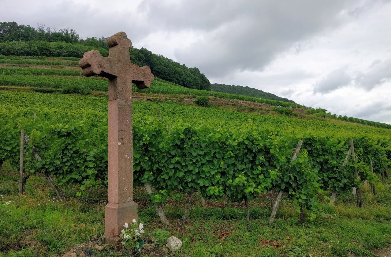 Domaines Schlumberger crand cru vineyards 1