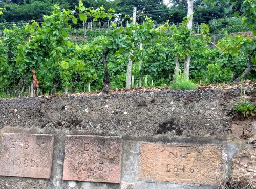 Thomas Schlumberger's Kitterle GC terraces