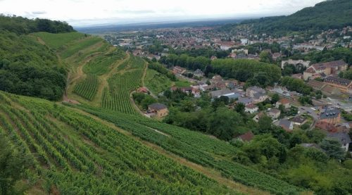 Domaines Schlumberger crand cru vineyards 2