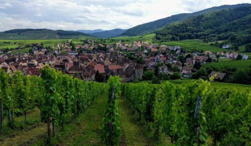 Schoenenbourg vineyard view hugel