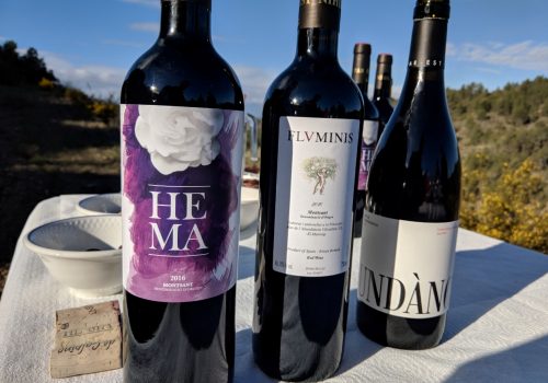 Mas de l'Abundància wines