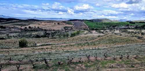 Acustic view