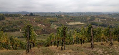 Monferrato farewell 2