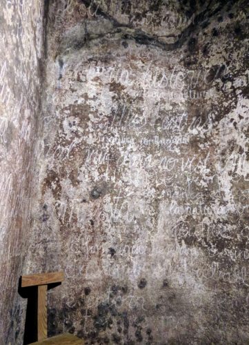 Masroig cellar 2