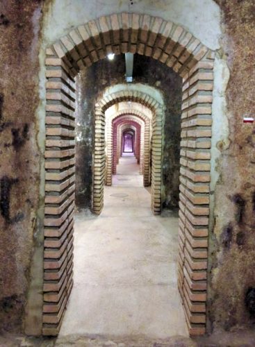 Masroig cellar 4