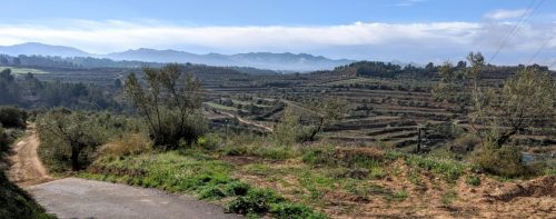 El Masroig view