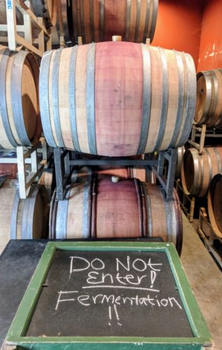 Troon fermentation