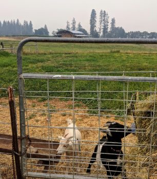 Plaisance Ranch view