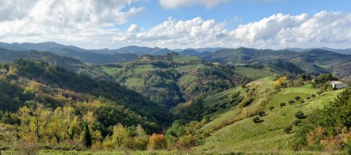 Zerbina view