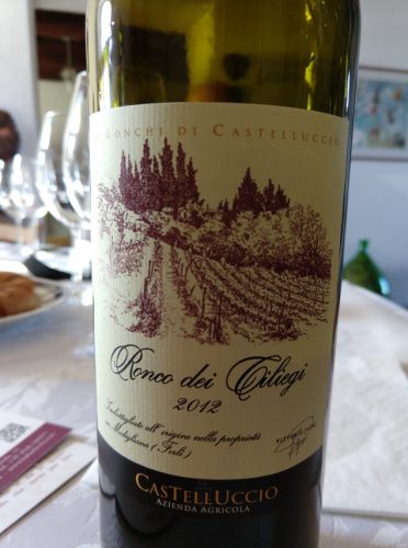 2012 Castelluccio Ronco dei Ciliegi Forli Rosso