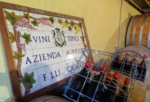 Casali cellar